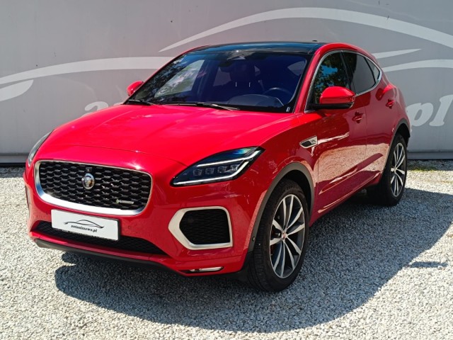 jaguar