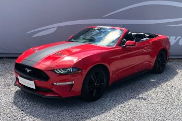 2.3 EcoBoost !! bardzo ładny stan !! niski przebieg !! autaniszowe.pl