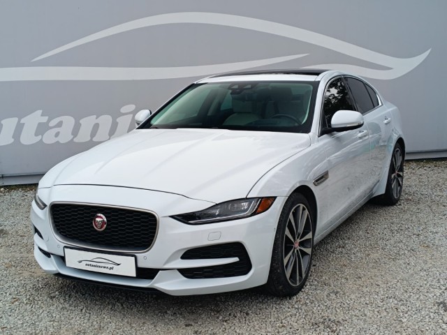 jaguar