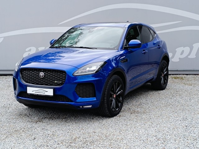 jaguar