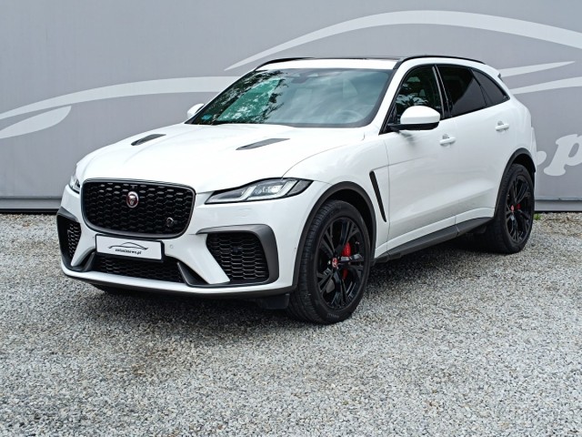 jaguar